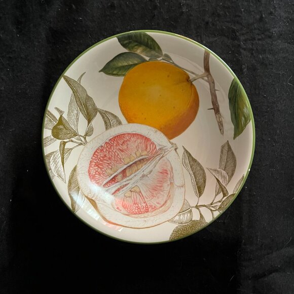 Vintage Discontinued Williams Sonoma Botanical Citrus Bowls/Plates - Picture 2 of 11